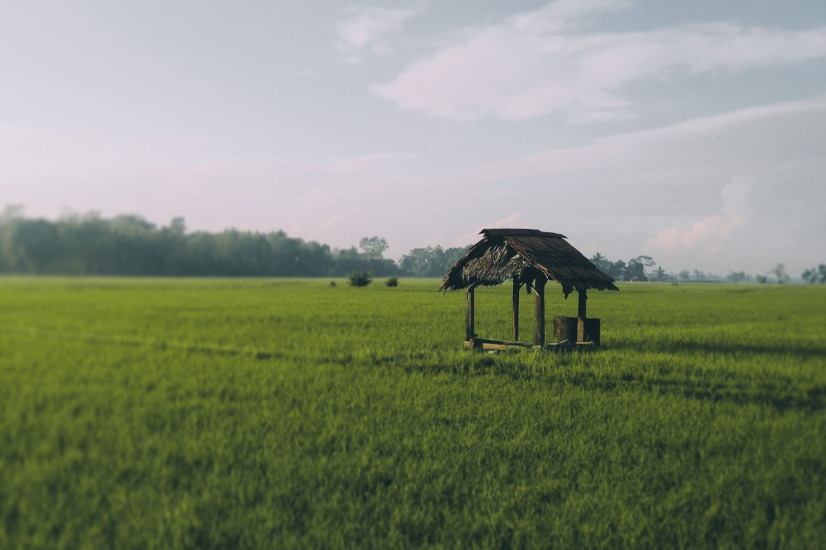 Metody usuwania azotanów i azotynów z wody